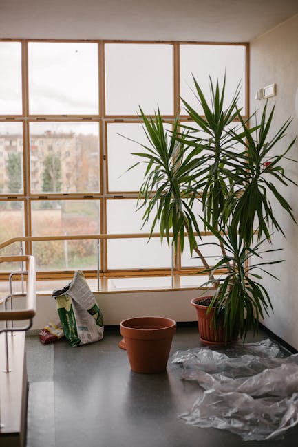 Gilinimasis į namų mikroklimatą: drėgmė, temperatūra ir vėdinimas—kaip rasti balansą