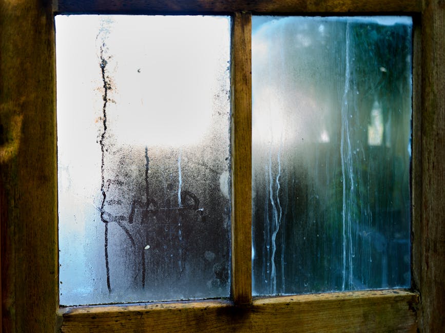 Langų rasojimas ir kondensatas rodo per didelę drėgmę namuose