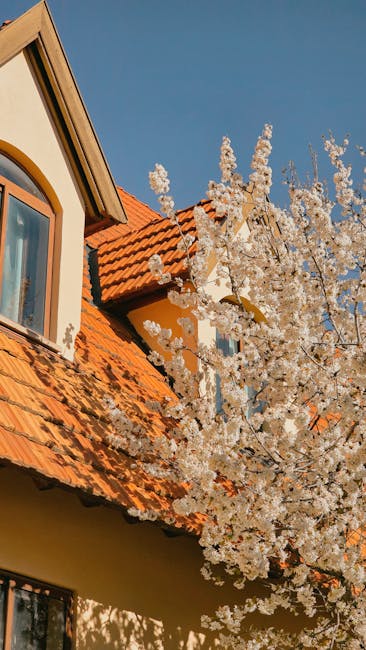Saulėtas namo kiemas ir priežiūros darbai sezoninės namų priežiūros planui pavasariui, vasarai, rudeniui ir žiemai